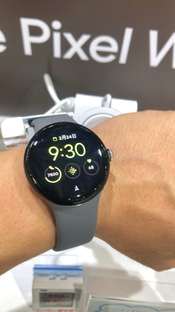 Pixel Watch health tools